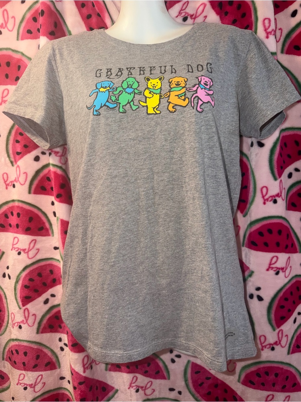 🩶🩵 Life Is Good “Grateful Dog” Tee with Rainbow Dancing Dogs